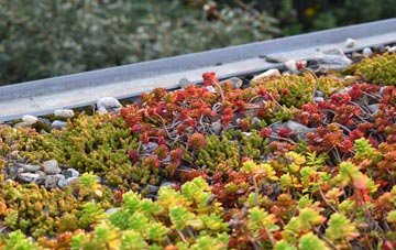 the cost of Kerris green roof installation